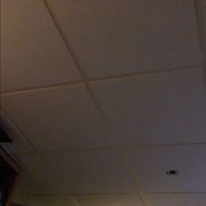 Meet your Posher, Riley